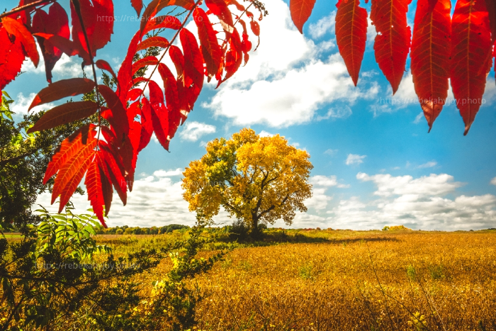 Landscape Photography
